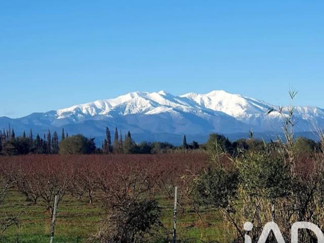 Vente Maison 5 pièces 154 m2 Laroque des Albères
