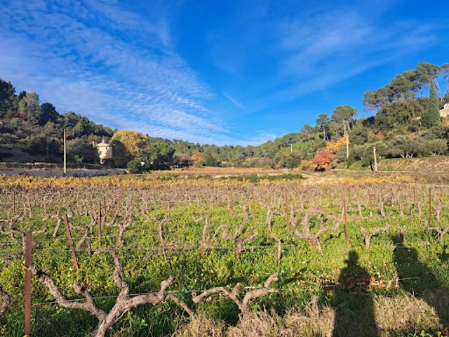 Vente Maison 5 pièces 160 m2 Cotignac