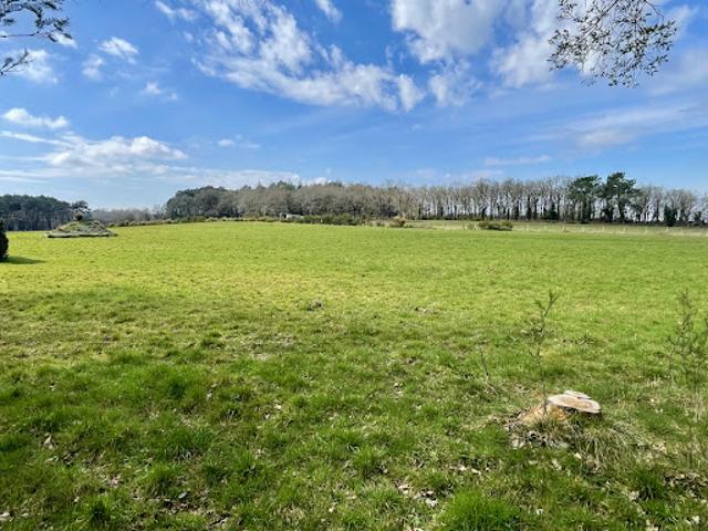 Vente Maison 5 pièces 170 m2 Theix Noyalo