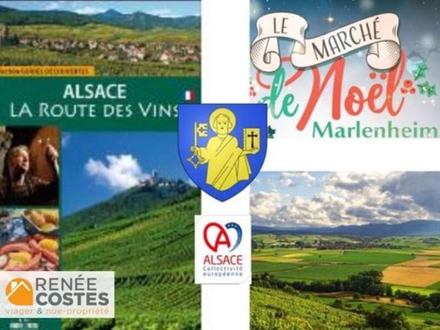 Vente Maison 5 pièces 200 m2 Marlenheim