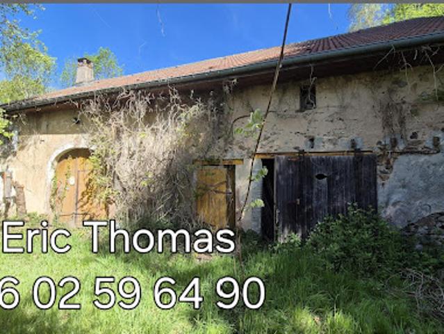 Vente Maison 5 pièces 350 m2 Anould