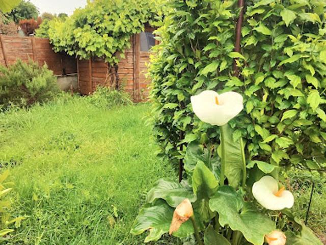 Vente Maison 5 pièces 90 m2 Quimper