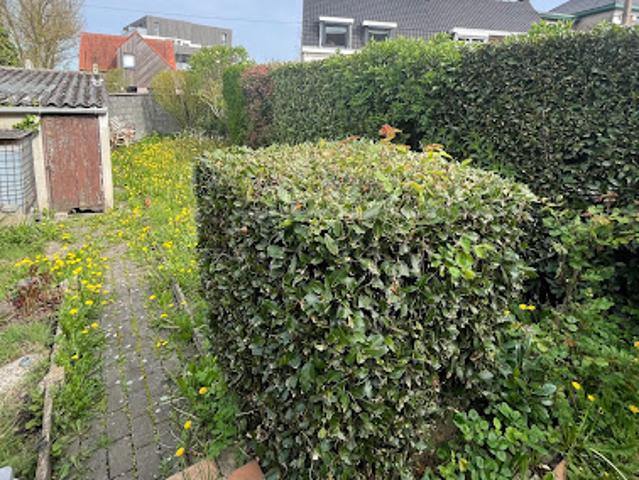 Vente Maison 5 pièces 92 m2 Roncq