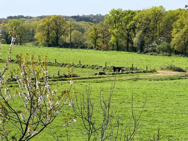 Vente maison 5 pièces Auray 56