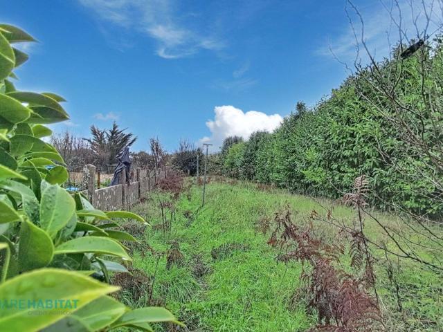 Vente maison 5 pièces Belz 56