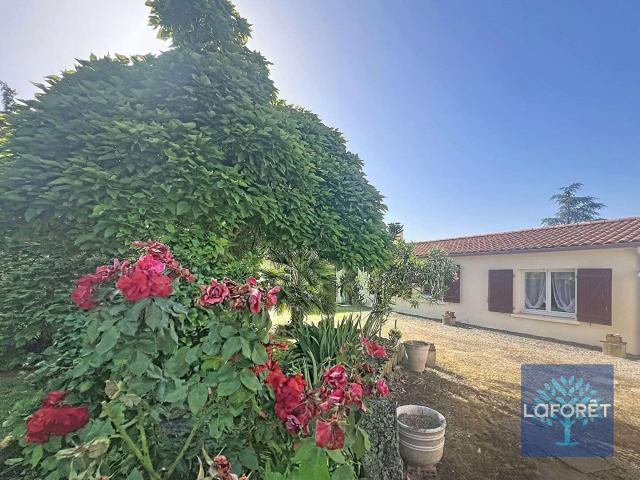 Vente maison 5 pièces Falleron 85