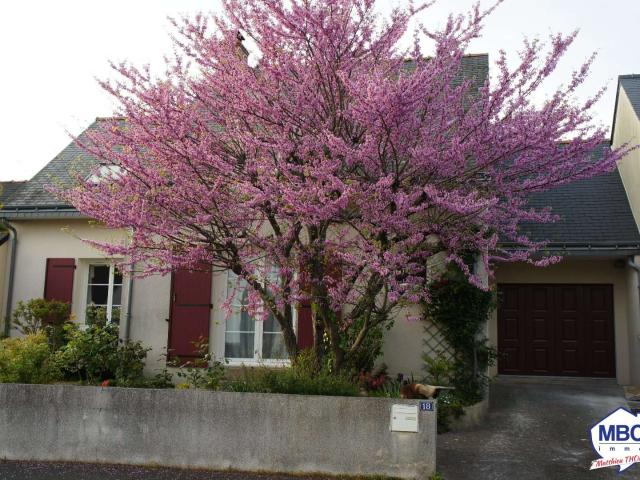 Vente maison 5 pièces Saint Florent le Vieil 49