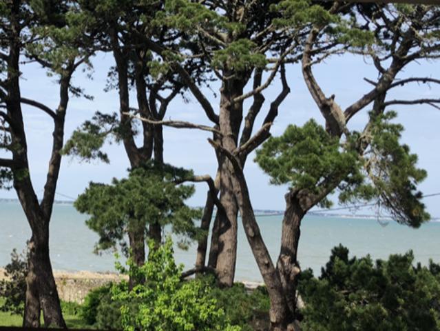Vente maison 5 pièces Saint Pierre Quiberon 56