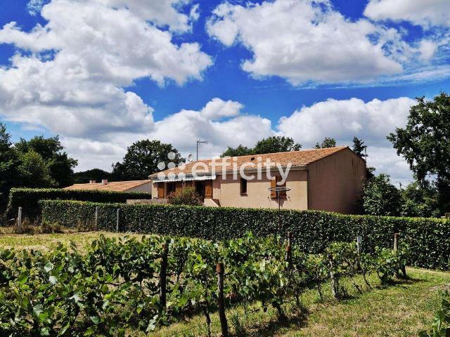 Vente maison 5 pièces Sainte Flaive des Loups 85
