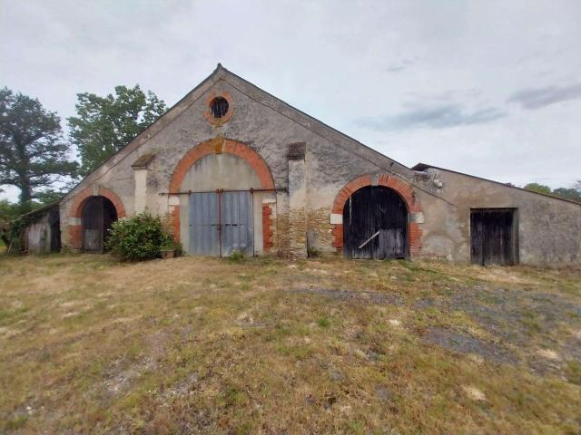 Vente maison 5 pièces Sallertaine 85