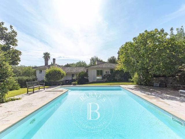 Vente maison 5 pièces Porto Vecchio 20