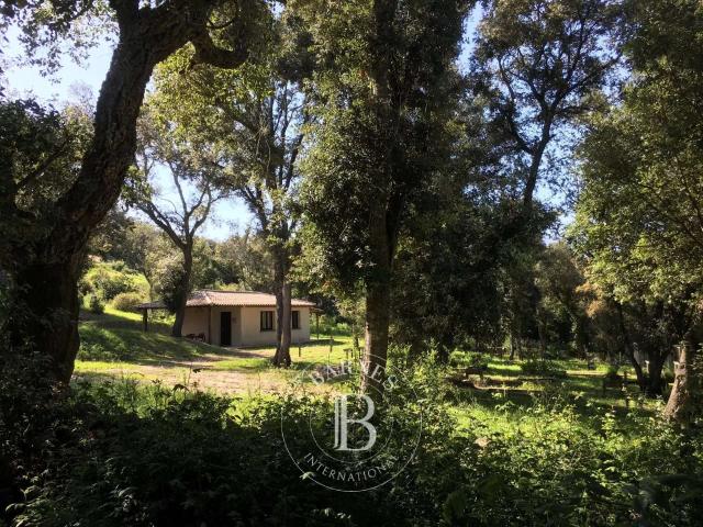 Vente maison 5 pièces Porto Vecchio 20