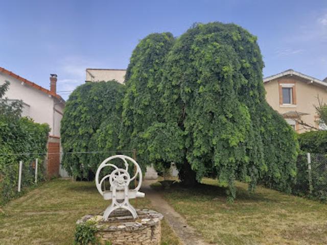 Vente Maison 6 pièces 120 m2 Castres