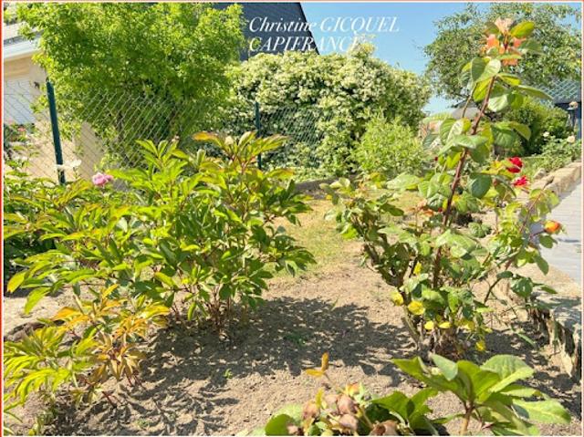 Vente Maison 6 pièces 136 m2 Trignac