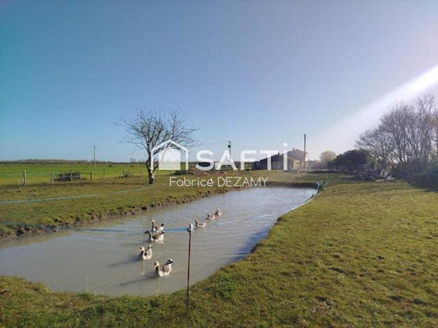 Vente Maison 6 pièces 133 m2 Moreilles