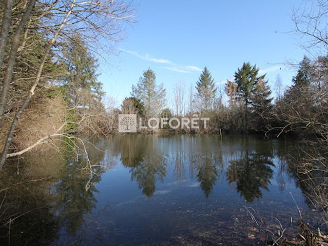Vente Maison 6 pièces 156 m2 Corgnac sur l'Isle