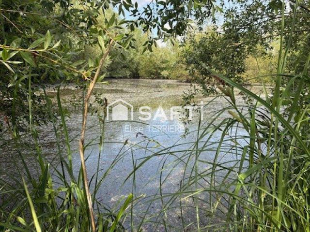 Vente Maison 6 pièces 197 m2 Aigre