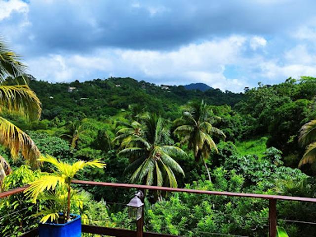 Vente Maison 6 pièces 200 m2 Riviere pilote