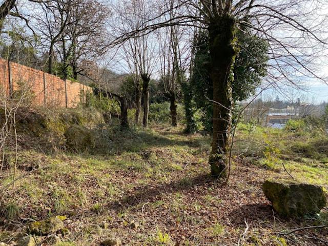 Vente Maison 6 pièces 285 m2 Floirac