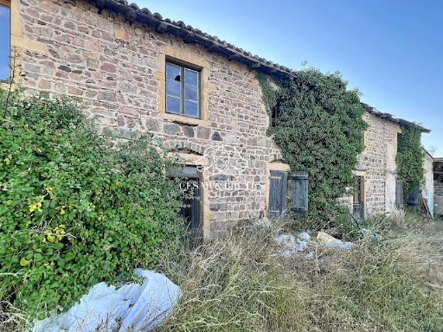 Vente Maison 6 pièces 750 m2 Saint Jean Saint Maurice sur Loire