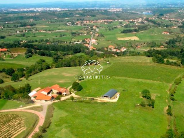 Vente Maison 6 pièces 750 m2 Saint Jean Saint Maurice sur Loire