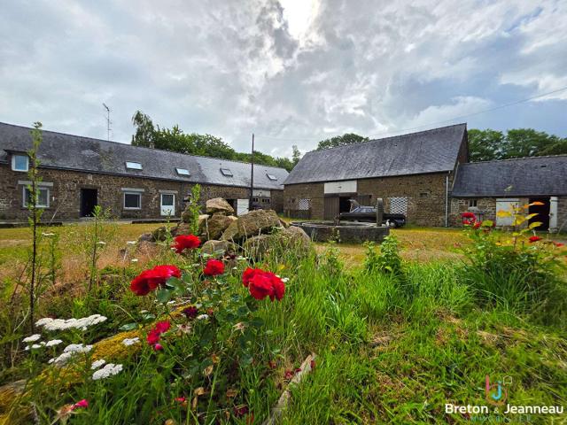 Vente maison 6 pièces Champéon 53