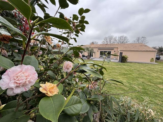 Vente maison 6 pièces Aizenay 85