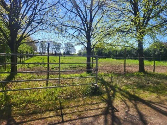 Vente maison 6 pièces Aubigny 79