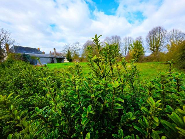 Vente maison 6 pièces Baugé 49