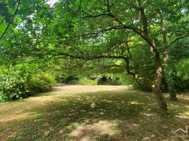 Vente maison 6 pièces La Gacilly 56