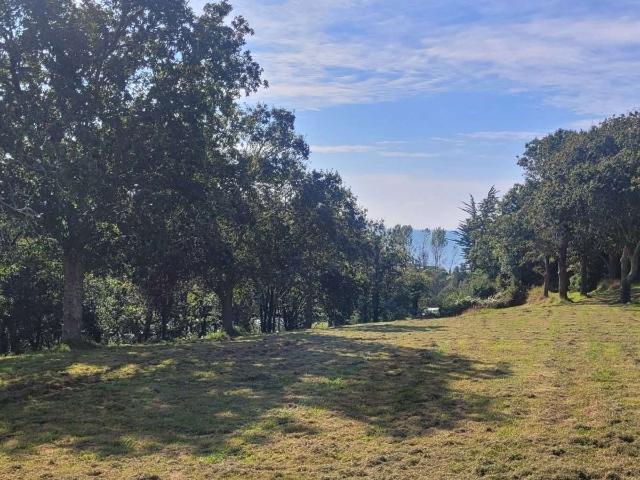 Vente maison 6 pièces Moëlan sur Mer 29
