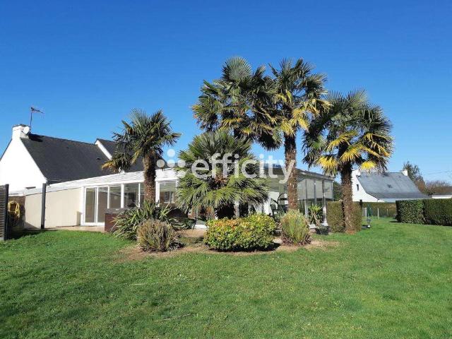 Vente maison 6 pièces Marzan 56