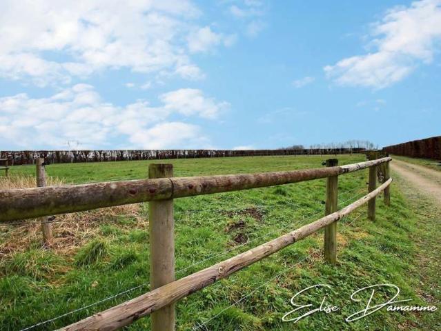 Vente maison 6 pièces Saint Romain de Colbosc 76