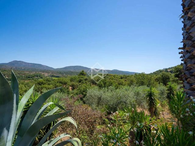 Vente maison 6 pièces Plan de la Tour 83
