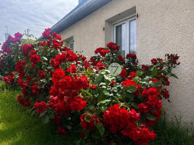 Vente maison 6 pièces Ploemeur 56