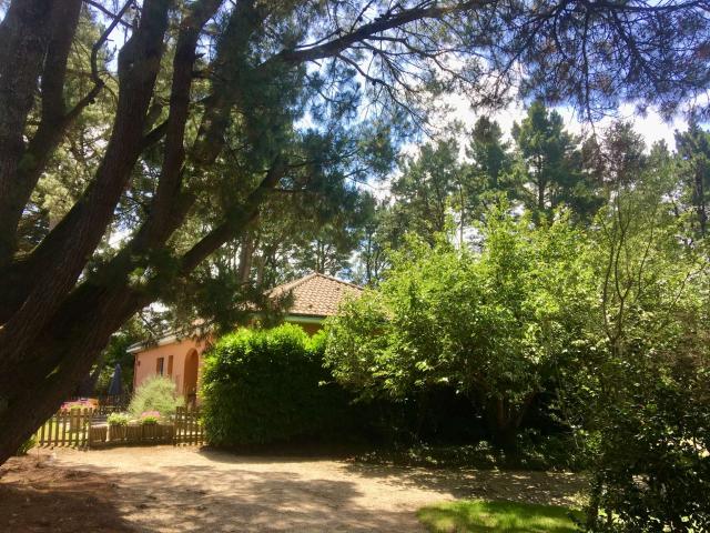 Vente maison 6 pièces Vallet 44