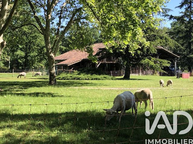 Vente Maison 8 pièces 170 m2 Luxey