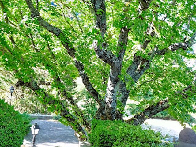 Vente Maison 8 pièces 205 m2 Méounes lès Montrieux