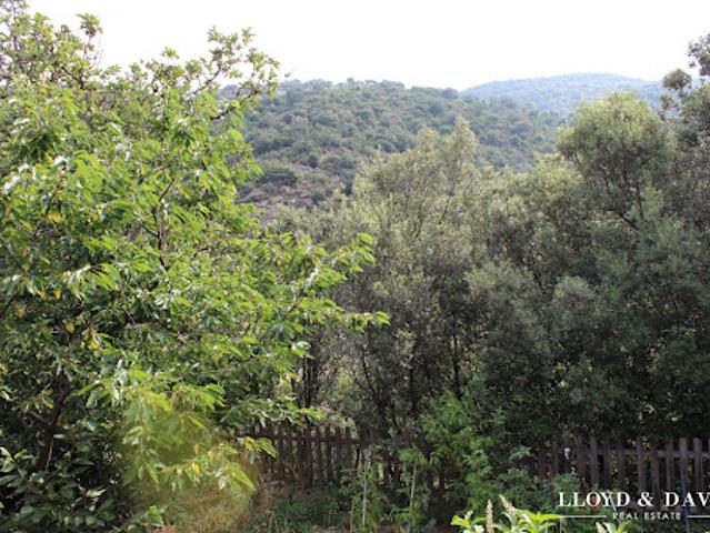 Vente Maison 8 pièces 236 m2 Sorède