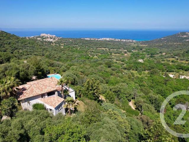 Vente Maison 8 pièces 242.28 m2 Monticello