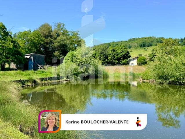 Vente Maison 8 pièces 246 m2 Saint Christophe et le Laris