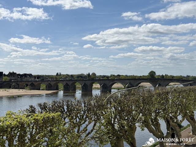 Vente Maison 8 pièces 310 m2 Gien