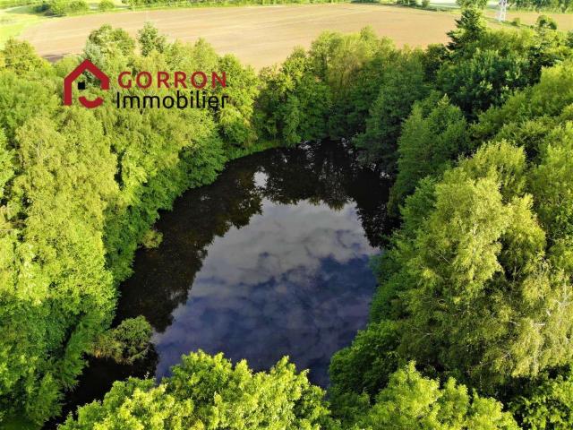 Vente maison 8 pièces Colombiers du Plessis 53