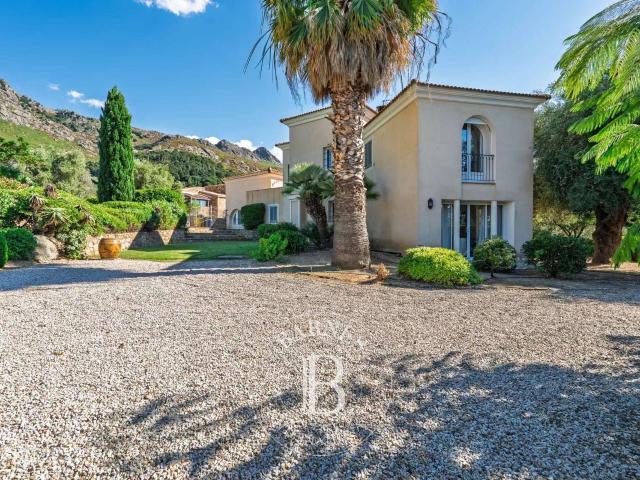 Vente maison 8 pièces Calvi 20