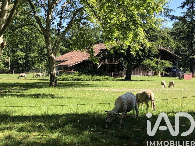 Vente maison 8 pièces Luxey 40