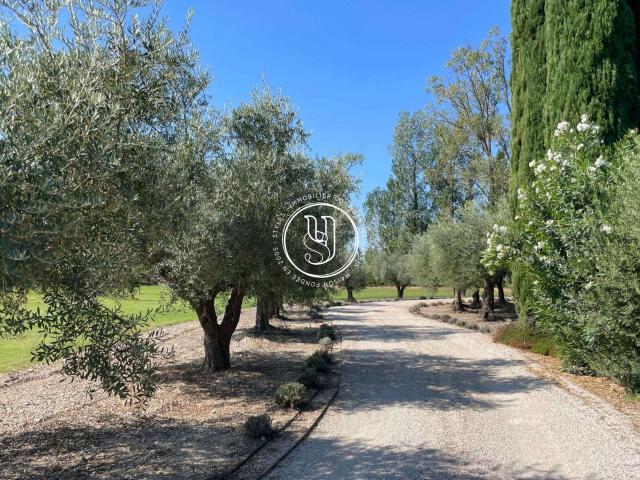 Vente maison 8 pièces Saint Rémy de Provence 13