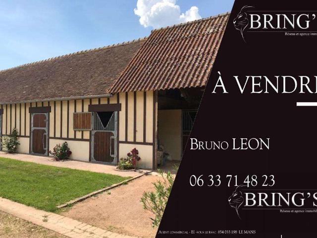 Vente maison 8 pièces Villaines la Carelle 72