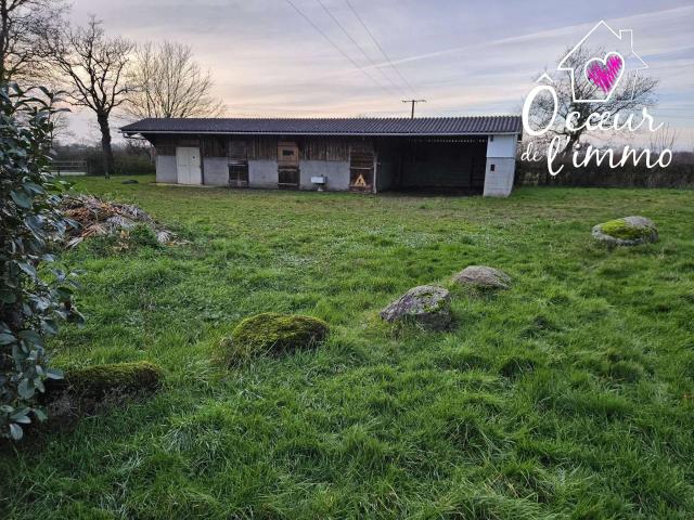 Vente maison 8 pièces Yzernay 49