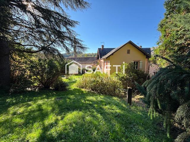 Vente Maison 9 pièces 186 m2 La Petite Raon