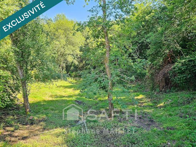 Vente Maison 9 pièces 211 m2 Mont de Marsan